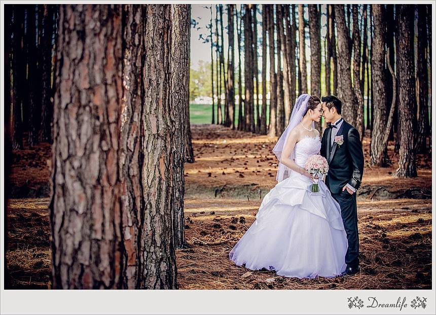 Amanda and Martin wedding photo in pine forest