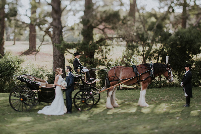 Bride and Groom stand in front of a horse and carriage.