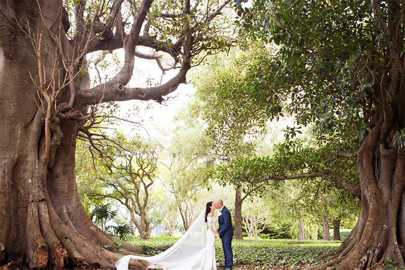 Bride and Groom kissing while surrounded by huge trees.