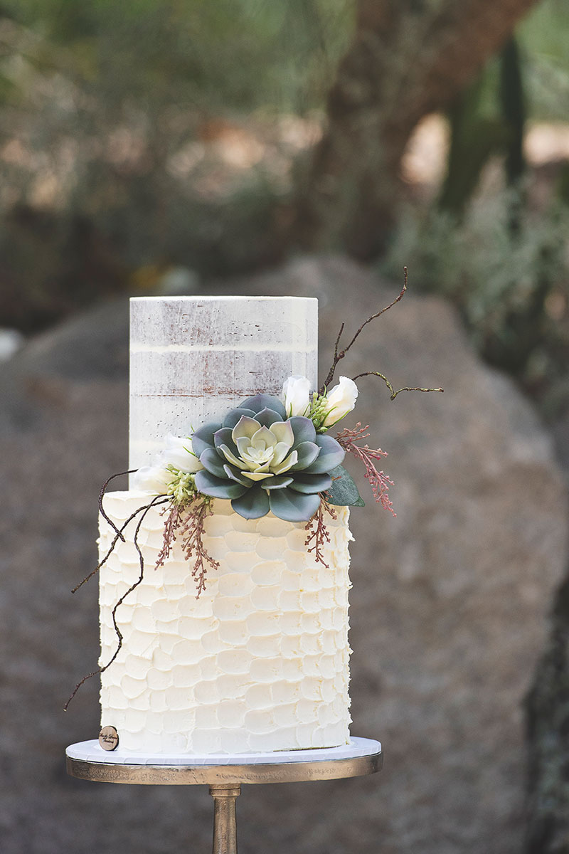 Rustic buttercream wedding cake with succulents.