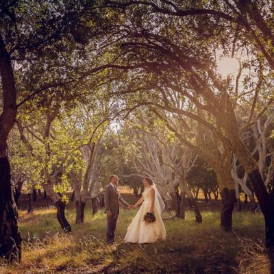 Wedding photo